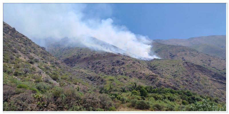 Incendio forestal destruye cultivos y cobertura vegetal en Vilcabamba-Grau