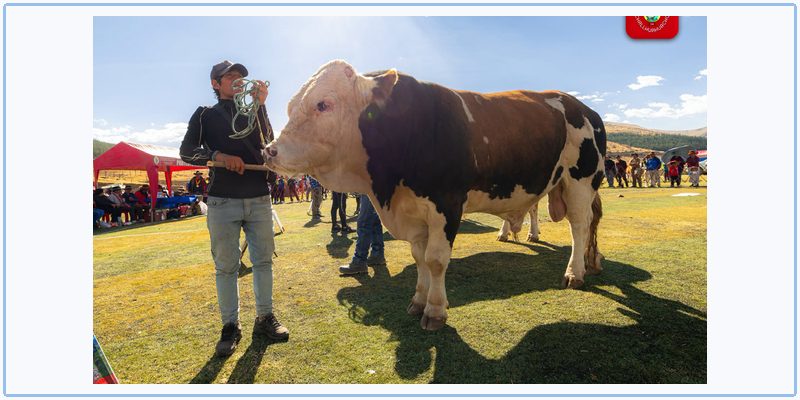 VI Feria Provincial Fuerabamba 2026 promovió la actividad agropecuaria y economía local