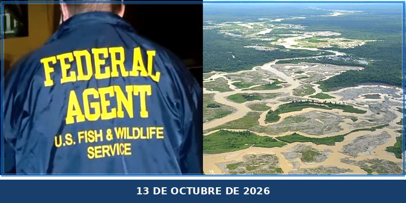 Operativo contra la minería ilegal: excandidato, policías y militares son investigados por presunta red criminal