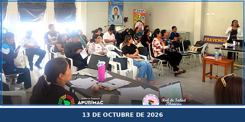 Red de Salud Abancay fortalece competencias médicas para prevenir y combatir la anemia