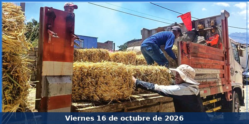 Familias afectadas por incendios en Curahuasi reciben apoyo para alimentar a su ganado