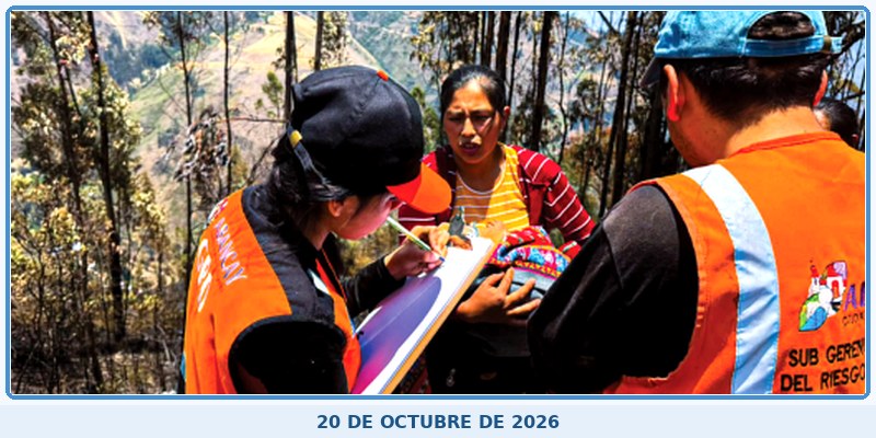 Municipalidad evalúa daños tras incendio forestal en sectores de Abancay