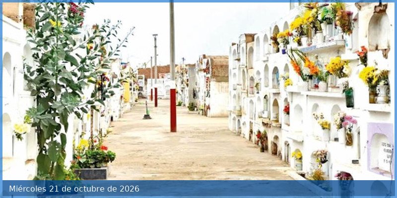 Municipios solo ejecutan la mitad de su presupuesto de inversión pública y persisten dudas sobre la calidad de las obras