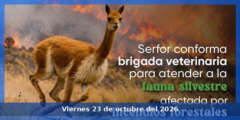 Serfor articula con instituciones la protección de la fauna silvestre en Apurímac