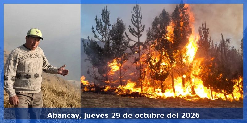 Apurímac registra 153 emergencias por incendios forestales y solo dos entidades ejecutaron proyectos preventivos